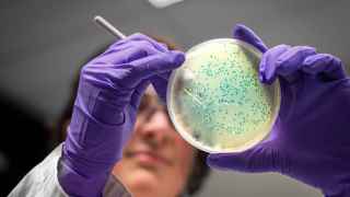 El nuevo fármaco que ha acabado con las bacterias resistentes a antibióticos en el laboratorio