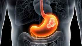 Anatomía estomacal del sistema digestivo humano.