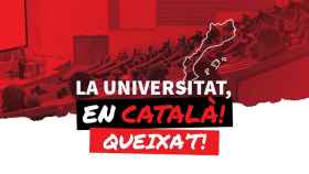 Imagen promocional de 'La universitat, en català', web de la 'Plataforma per la Llengua' para señalar a profesores. EE