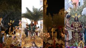 Los árboles de la Semana Santa de Málaga.