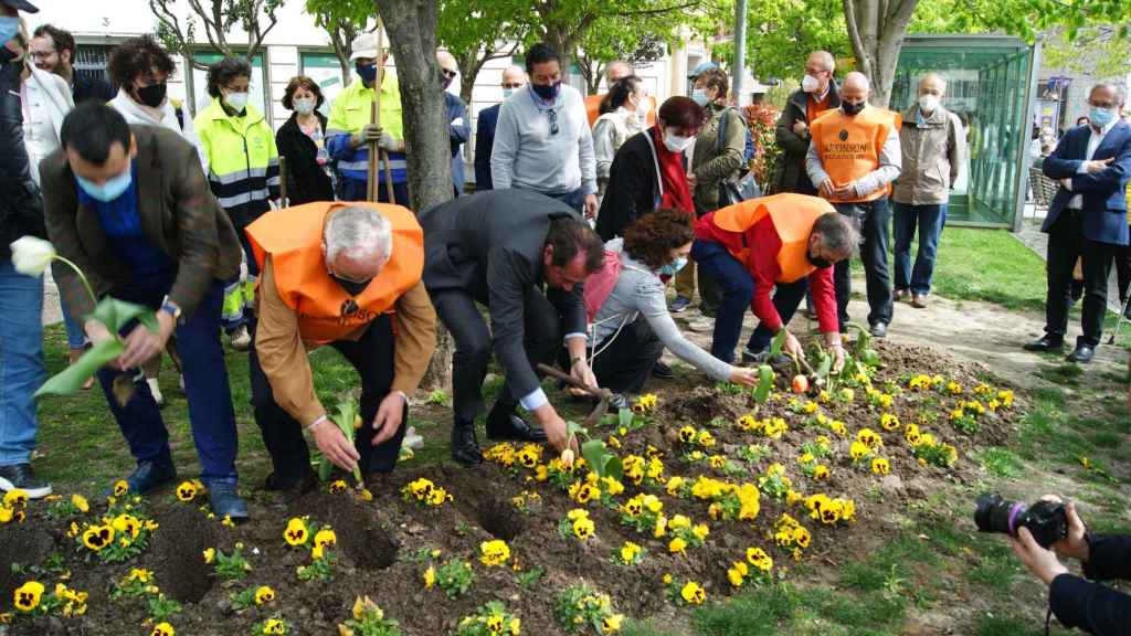 Plantación de tulipanes para celebrar el Dia Internacional contra el Parkinson