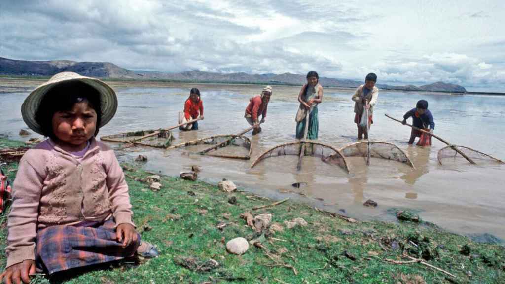 Niños bolivianos trabajando como pescadores.