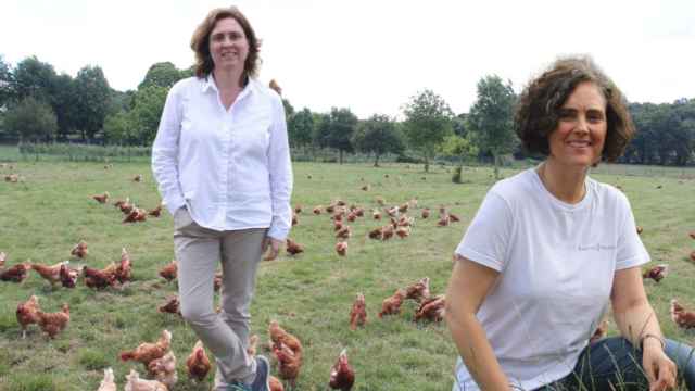 La empresa familiar de huevo campero que cuida gallinas: “Fuimos los primeros en hablar de bienestar animal en la ganadería”