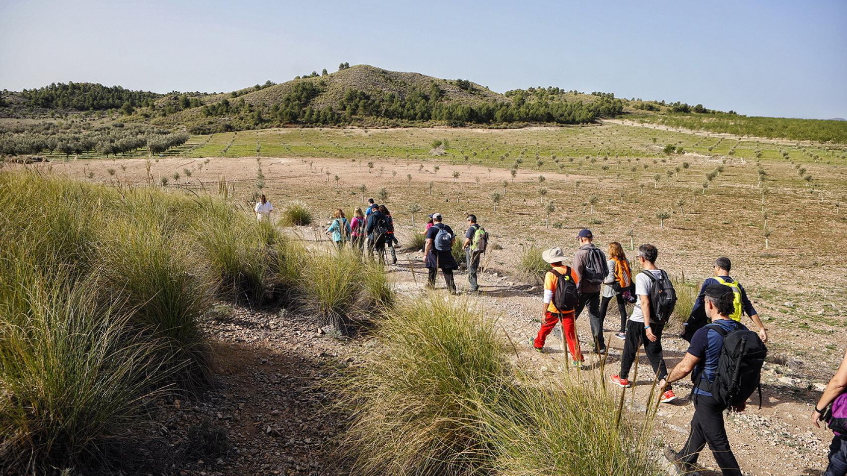 Caluroso día de ruta senderista en Ontur