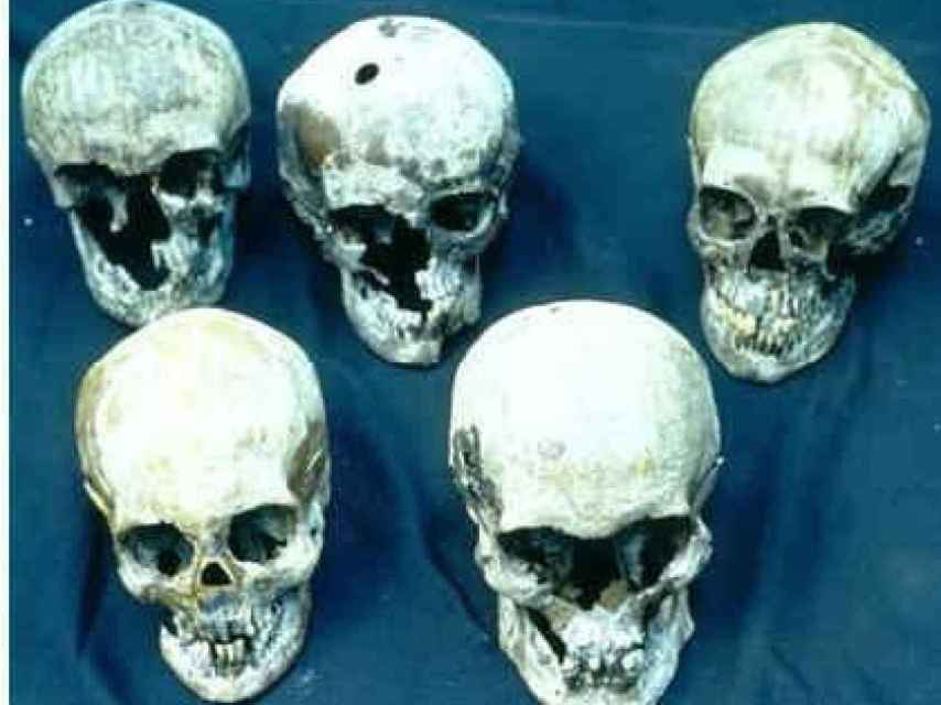 Los supuestos cinco cráneos.