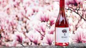 Otazu Rosado Merlot, un vino silvestre y artístico para celebrar la primavera