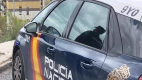 Policía Nacional.