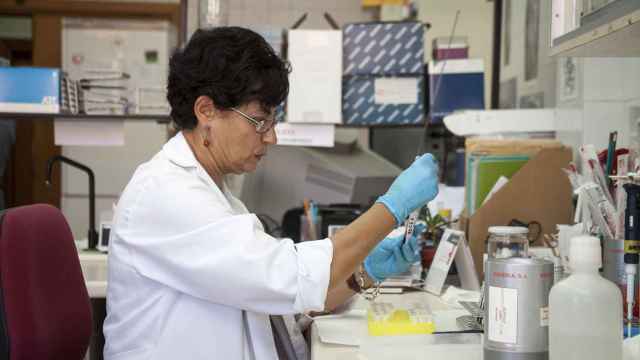 Una mujer senior trabaja en uno de los laboratorios de la facultad de Medicina de Salamanca