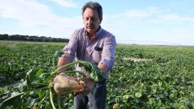 Mariano Gil, agricultor de la zona sur de la comarca de Medina del Campo, observa el estado de la remolacha en una de las tierras al fondo el pivot de riego