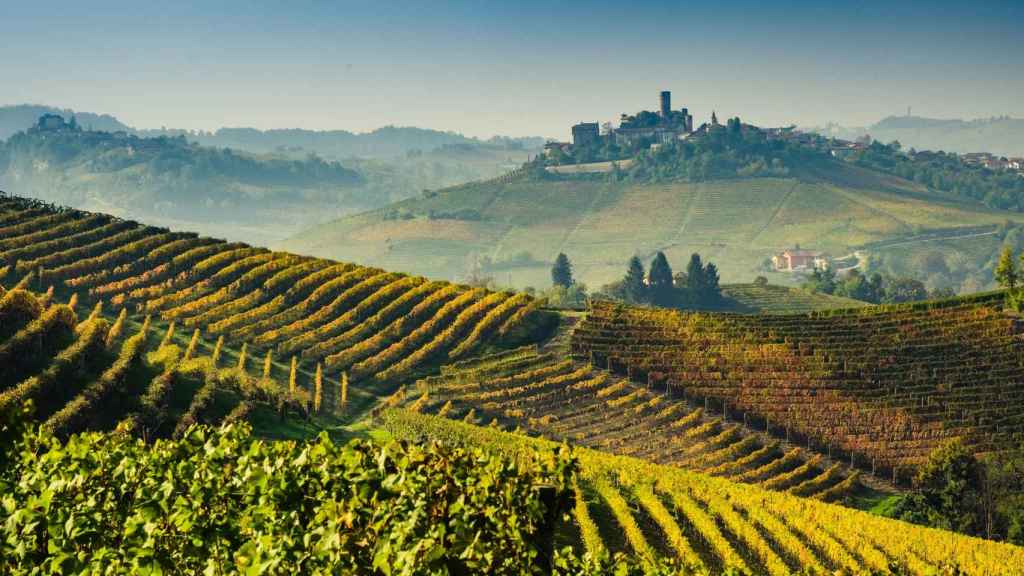Toscana, paraíso italiano del vino