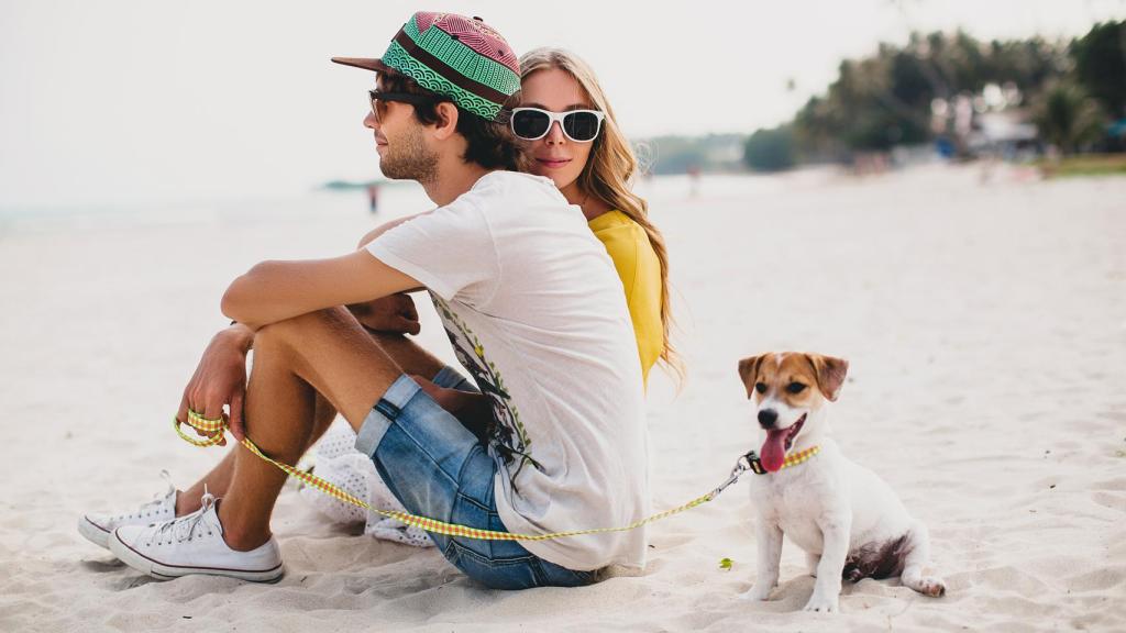 Ceniza inercia caja registradora Estás planeando viajar con tu mascota? Conoce el lado más 'Pet Friendly' de  Costa Blanca