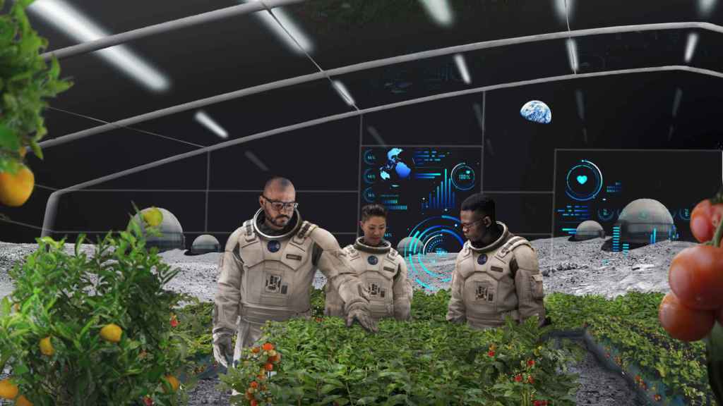 El proyecto, a futuro, es que los habitantes de la futura Base Artemisa en la Luna puedan cultivar vegetales.