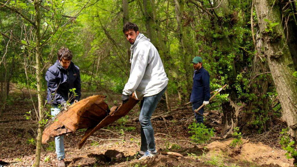 Un par de voluntarios recogen una plancha metálica oxidada