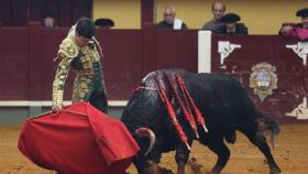 Profundo muletazo de Tomás Rufo al sexto de Garcigrande en Alba de Tormes