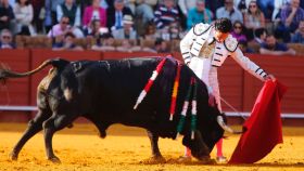 El torero Oliva Soto toreando con la muleta en Sevilla.