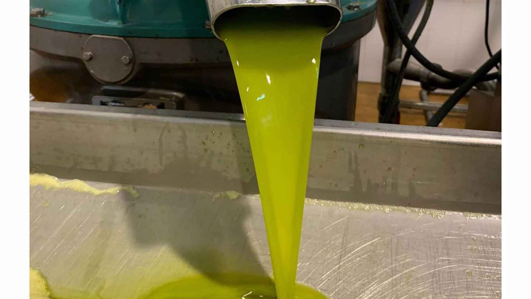Imagen de una almazara de aceite de oliva.