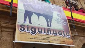 Siguiñuelo, el toro elegido para las fiestas de Benavente