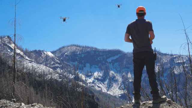 Enjambres de drones, la alternativa tecnológica para reforestar después de un incendio