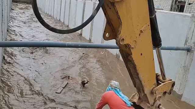 El conmovedor rescate con una excavadora a un perro que estaba a punto de morir ahogado