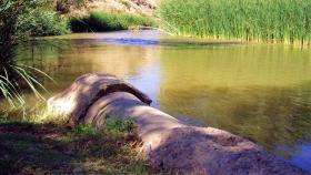 Vertidos al río Duero en Carrascal