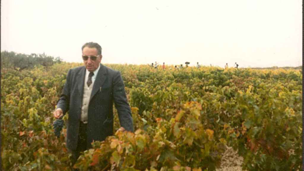 Don Faustino, el abuelo de Carmen y Lourdes, en sus viñedos.