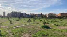 Vista de los antiguos terrenos de Repsol, en Málaga capital.