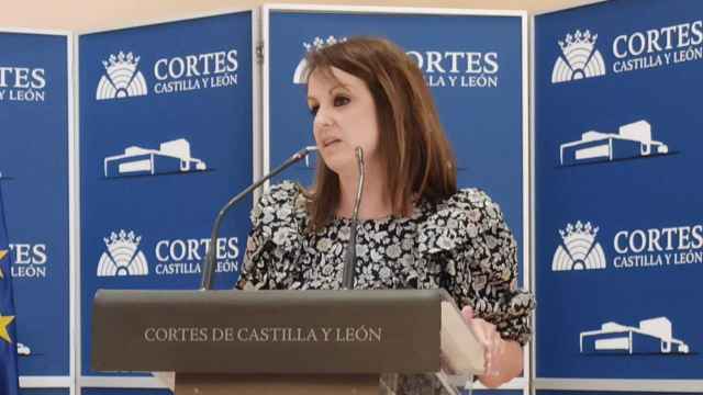La portavoz del PSOE en las Cortes, Patricia Gómez Urbán, durante su rueda de prensa.