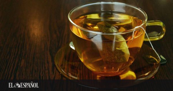 Cuántas tazas de té se pueden tomar al día sin dañar la salud? -  30.09.2020, Sputnik Mundo