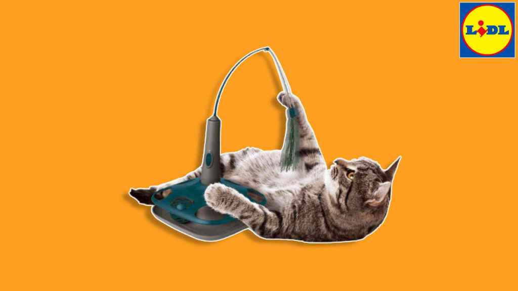 Hervir línea Suavemente Este gadget del Lidl para tu gato le entretiene durante horas y sólo cuesta  15 euros