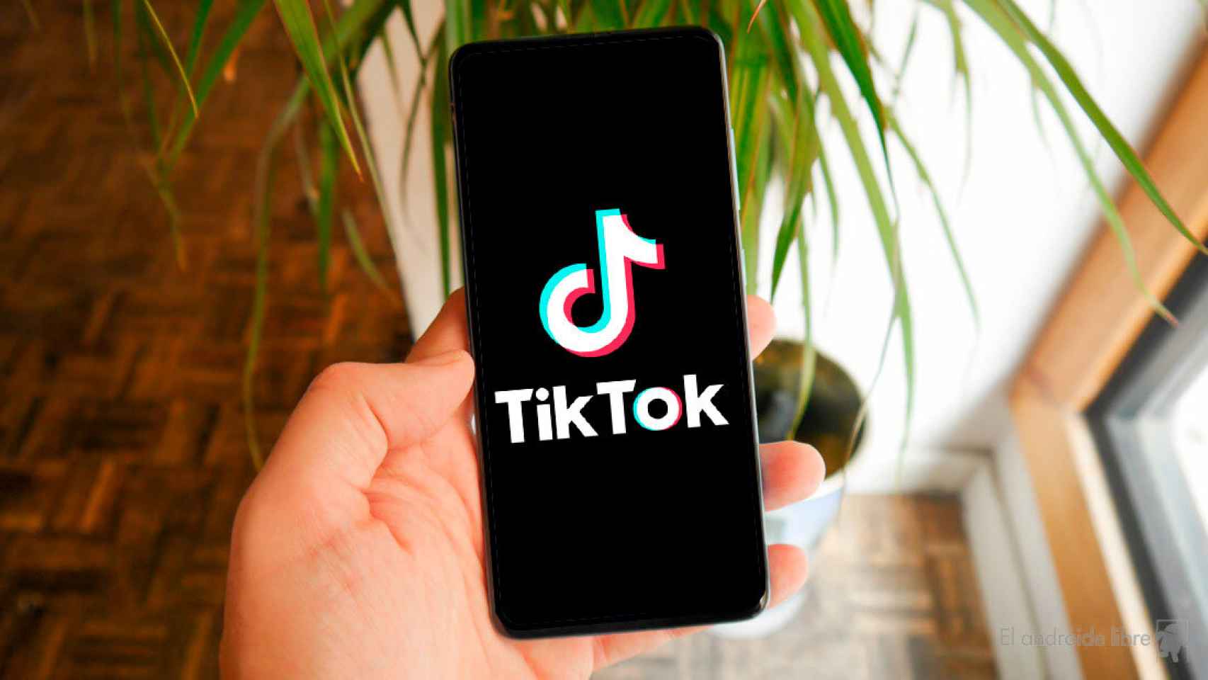 Cómo descargar videos de TikTok sin marca de agua?