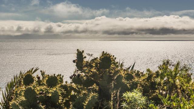 La Palma, un recorrido de ensueño por la isla bonita