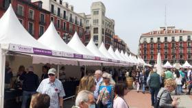 Catas, rutas y música convierten a Valladolid en la plaza Mayor del vino