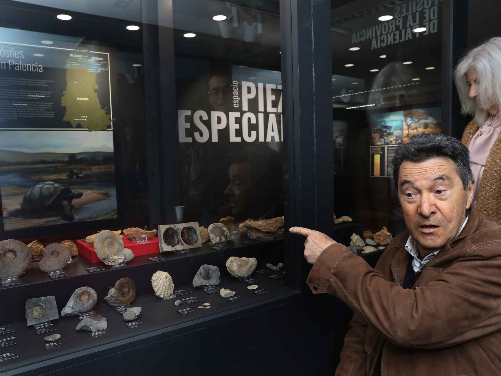 El coleccionista Rafael Martín muestra algunos de los fósiles expuestos en Villamuriel de Cerrato (Palencia). / ICAL