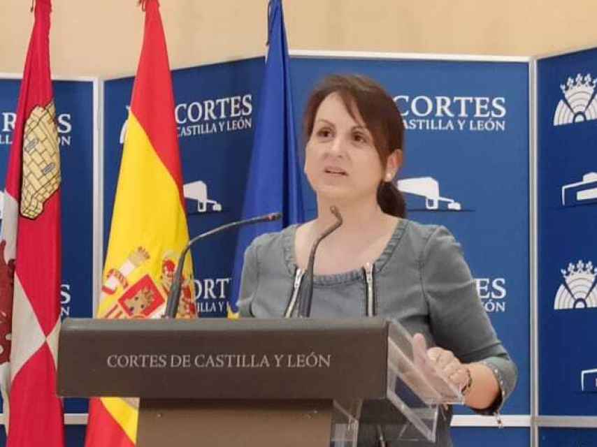 La procuradora del PSOE, Patricia Gómez Urbán, durante la rueda de prensa de este jueves en las Cortes.
