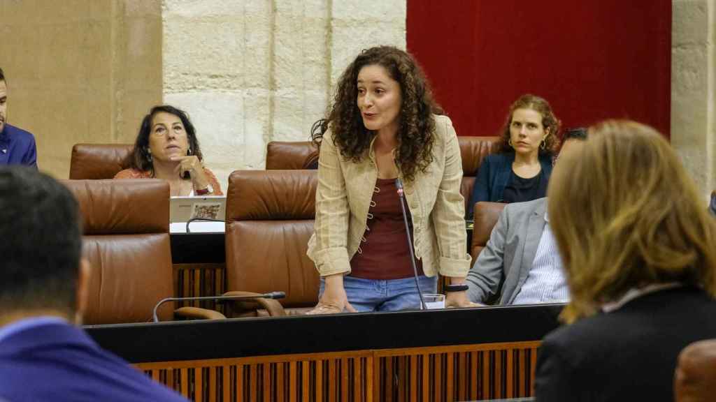 La portavoz de IU en el Parlamento andaluz, Inmaculada Nieto.