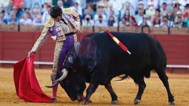 Morante de la Puebla pega un derechazo a un toro en Sevilla.