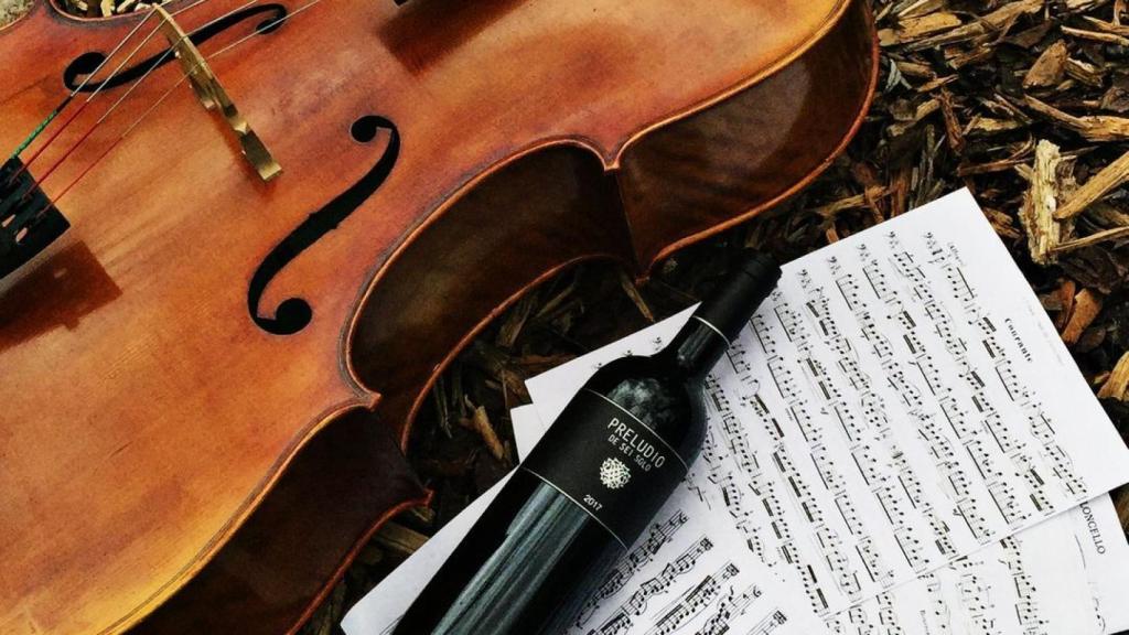 Preludio de Sei Solo, el vino más musical de la Ribera
