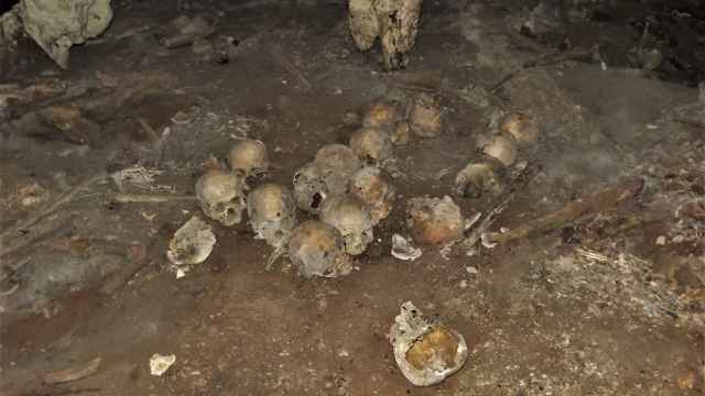 Varios de los cráneos hallados en la cueva de Chiapas. / Foto: INAH