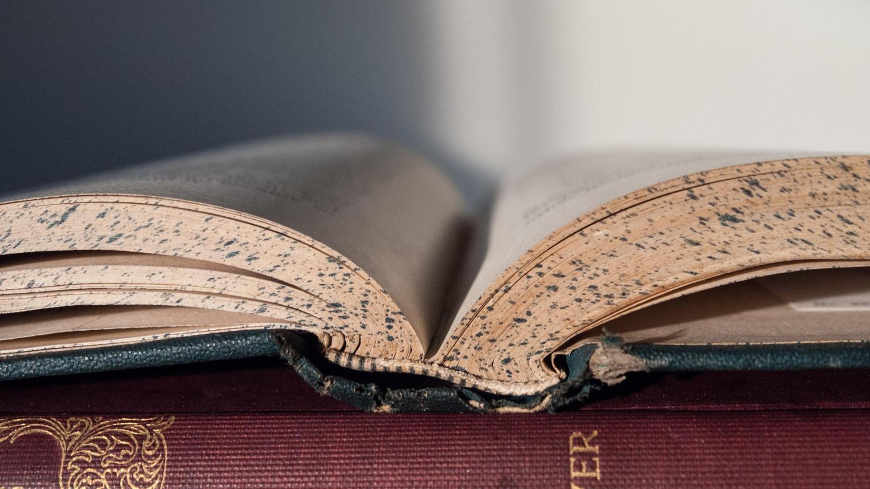 De Donde Proviene El Apellido Manzano ¿De dónde proviene el apellido 'Alcaraz' y qué significa?