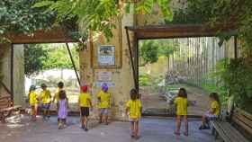 Niños en la Escuela de Verano de Terra Natura, en imagen de archivo.