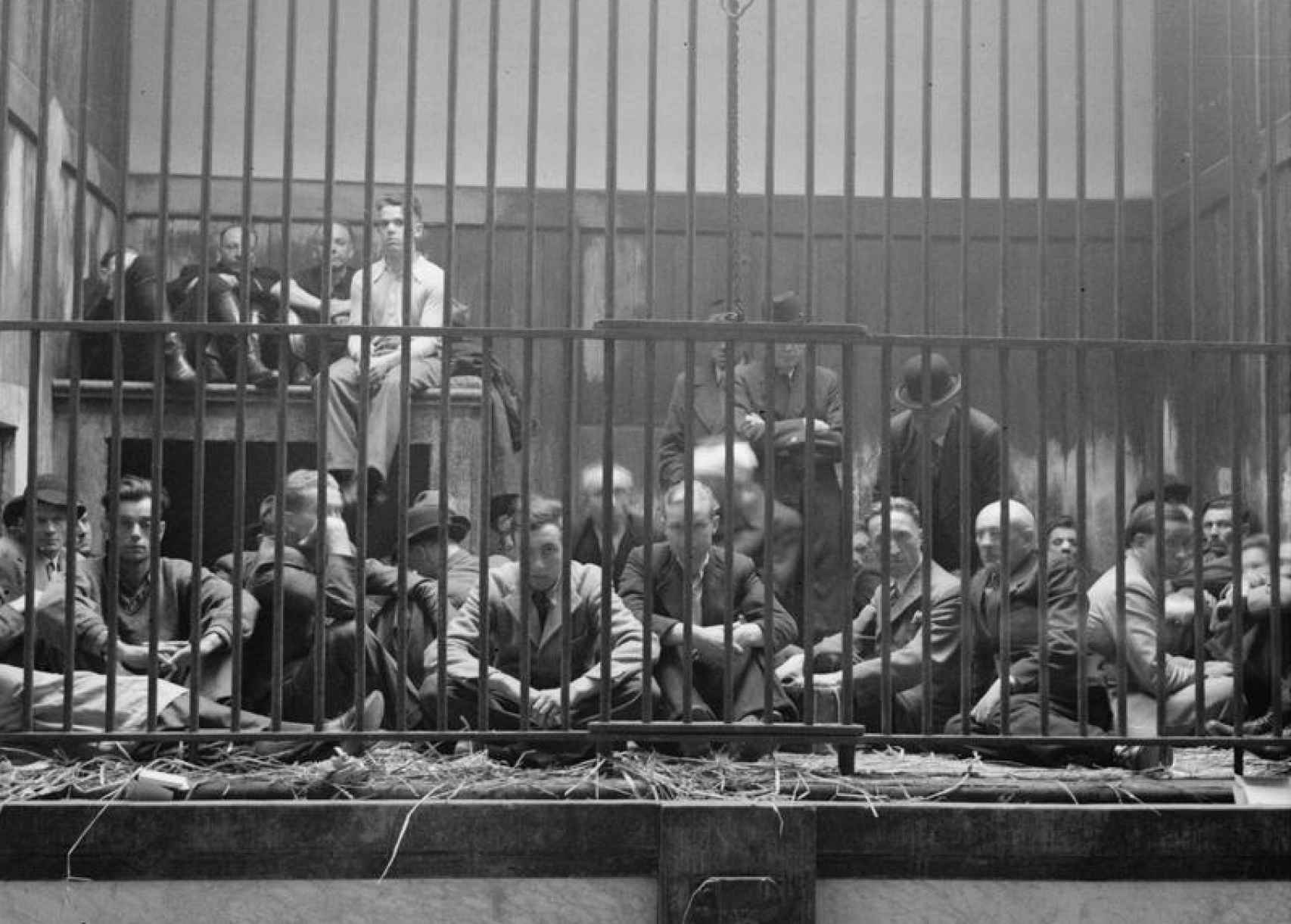 Colaboracionistas belgas encerrados en el zoo de Antwerp en septiembre de 1944.