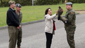 La ministra de Defensa, Margarita Robles, acaricia al águila de Harris durante su visita de este viernes al acuartelamiento de Cabo Noval en Oviedo.