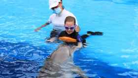 Casi diez mil niños han podido participar en la terapia con delfines que ofrece la Fundación Mundomar en Benidorm.