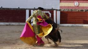 Arranca el Circuito de Novilladas de Castilla y León. Fotografía: Circuito de Novilladas