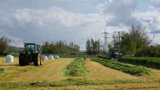 Labores de siega de alfalfa en Tierra de Campos
