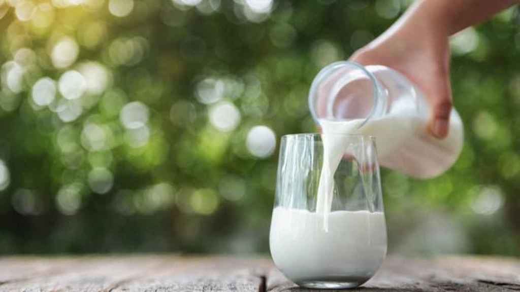 Estas que te aporta realmente vaso de leche que tomas todos los días