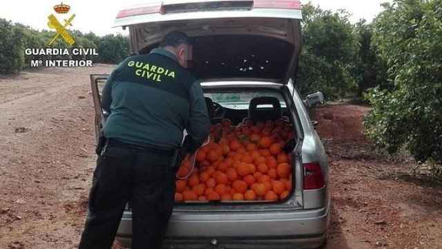 Un agente de la Guardia Civil intercepta a un ladrón de naranjas, en imagen de archivo.