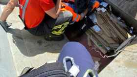 Herido un trabajador de recogida de residuos de León