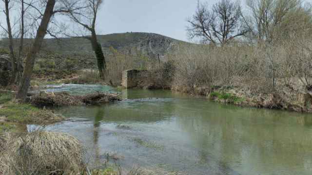 Fallece ahogado un joven de Madrid cuando se bañaba en un río en la provincia de Soria