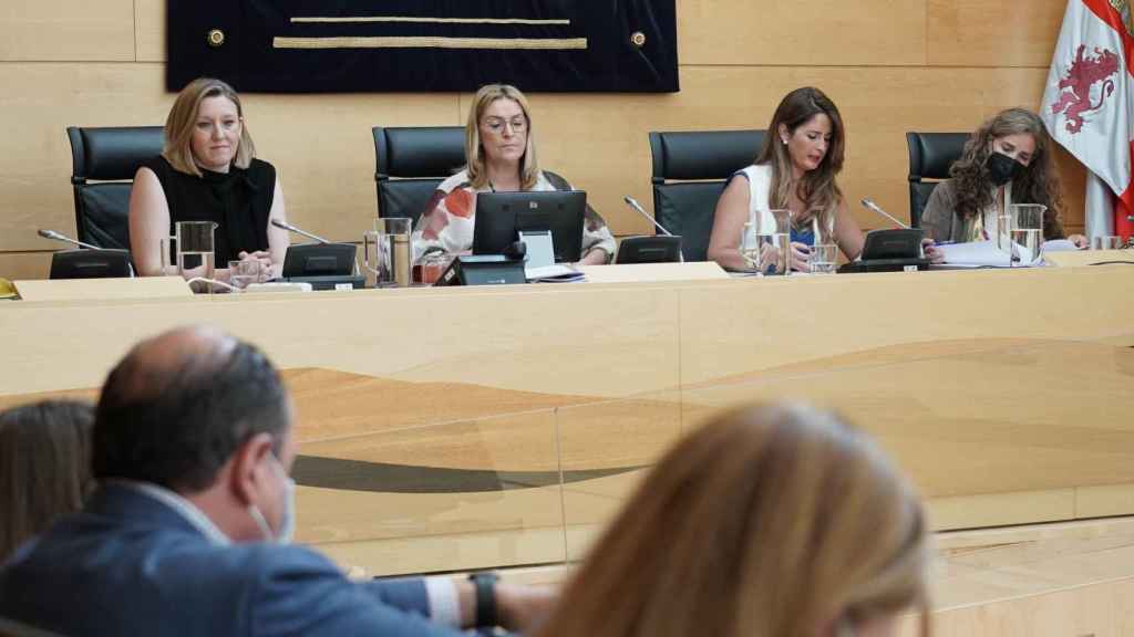 Comisión de Familia e Igualdad de Oportunidades de las Cortes